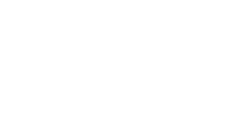 SDLV Logo